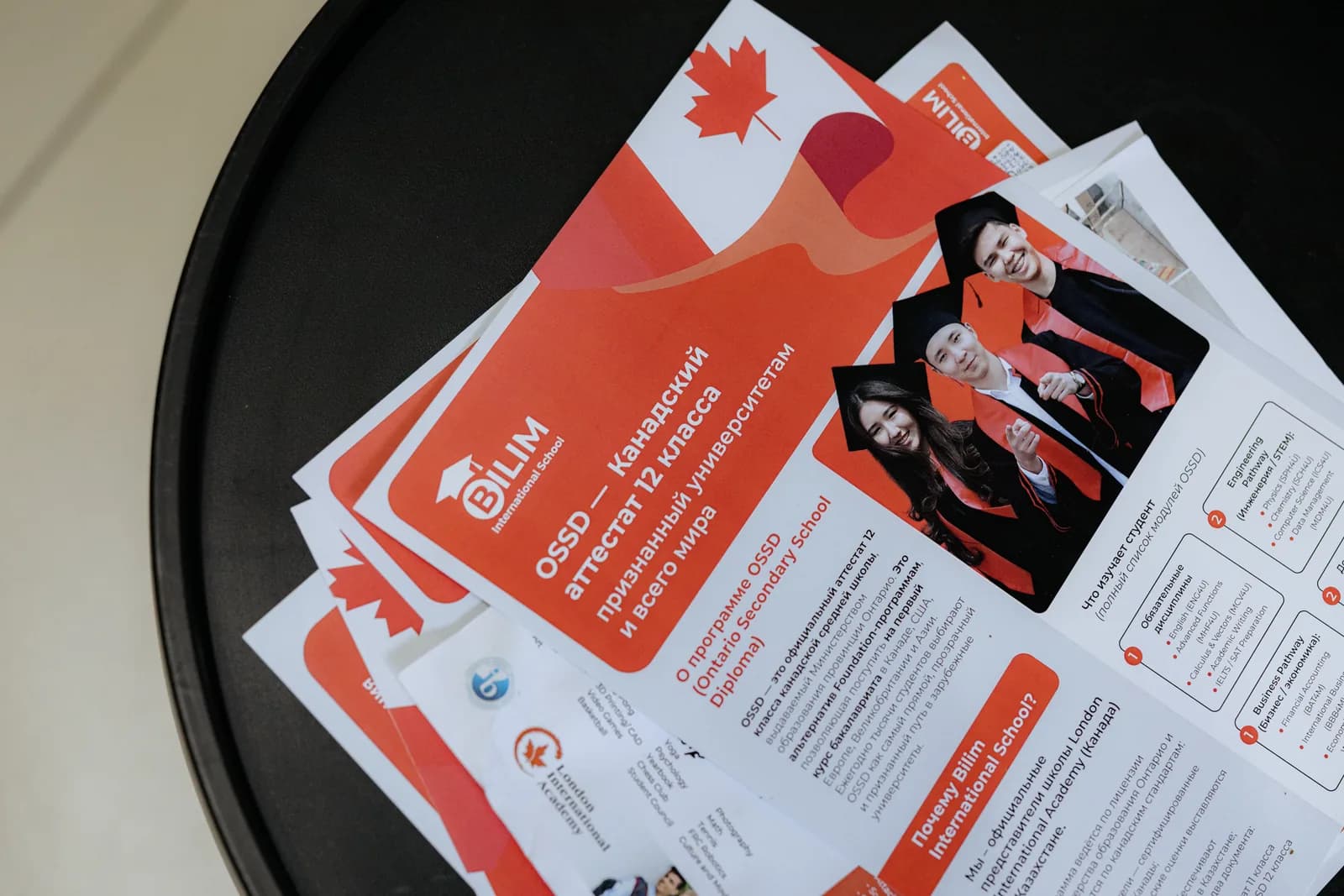 Материалы программы OSSD, подготовленные школой